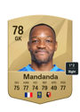 Other version of Steve Mandanda