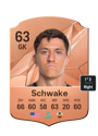 Other version of Brian Schwake