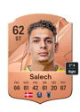 Other version of Yousef Salech