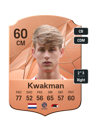 Other version of Dave Kwakman