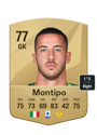 Other version of Lorenzo Montipo