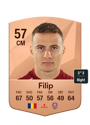 Other version of Robert Filip