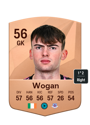 Other version of Andrew Wogan