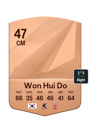 Other version of Won Hui Do