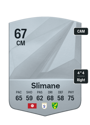 Other version of Anis Slimane