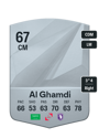 Other version of Faisal Al Ghamdi