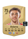 Other version of Che Adams