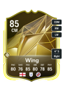 Other version of Lewis Wing