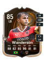 Other version of Wanderson