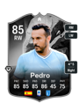 Previous version of Pedro