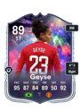 Other version of Geyse