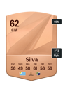Other version of Matias Silva
