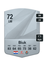 Other version of Stipe Biuk