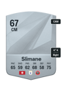 Other version of Anis Slimane