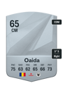 Other version of Razvan Oaida