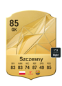 Other version of Wojciech Szczesny