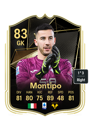 Other version of Lorenzo Montipo