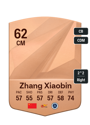 Other version of Zhang Xiaobin