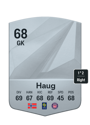 Other version of Kjetil Haug