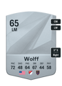 Other version of Tyler Wolff