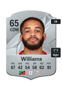 Other version of Jay Williams