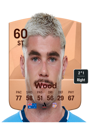 Other version of Patrick Wood