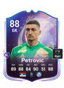Previous version of Dorde Petrovic