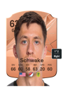 Other version of Brian Schwake