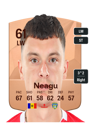 Other version of Petru Neagu