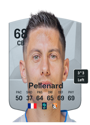 Other version of Theo Pellenard
