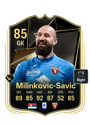 Other version of Vanja Milinkovic-Savic