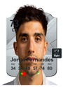 Other version of Jorge Fernandes