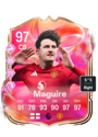 Other version of Harry Maguire