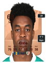 Other version of Thierry Gale