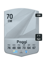 Other version of Vicente Poggi