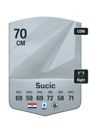 Other version of Petar Sucic