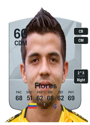 Other version of Francisco Flores