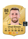 Other version of Unai Simon