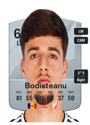 Other version of Stefan Bodisteanu
