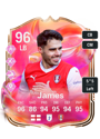 Other version of Reece James