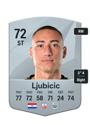 Other version of Marin Ljubicic