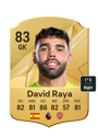 Other version of David Raya