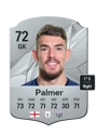 Other version of Alex Palmer