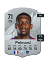 Other version of Andy Pelmard