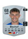 Other version of Tom Bischof