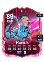 Other version of Marek Hamsik