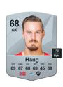 Other version of Kjetil Haug