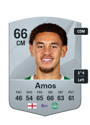 Other version of Luke Amos